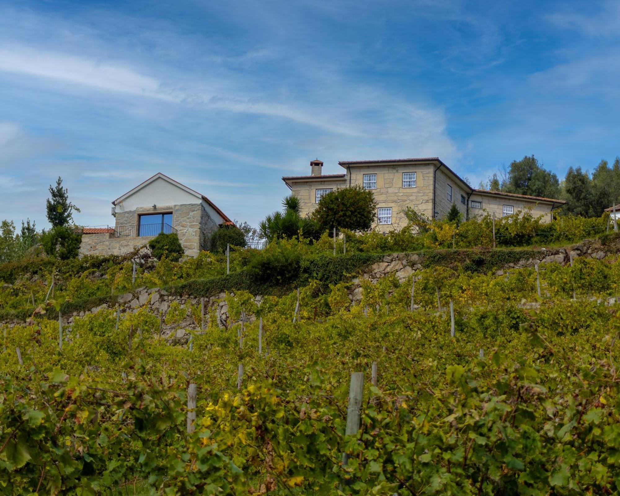 Villa Quinta Do Tapadinho - Wine & Tourism Moimenta Exterior foto